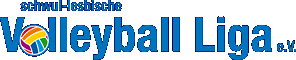 schwul-lesbische Volleyball Liga